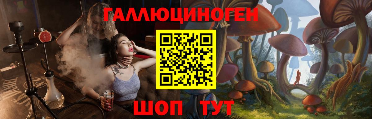 Галлюциногенные грибы Psilocybe  Вход с VPN  Джанкой 